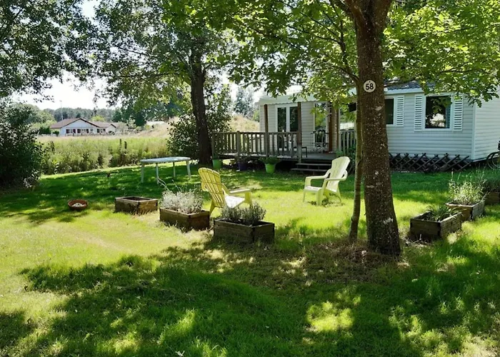 Mobil 4 Pers - 2 - Terrasse - Api-1-52-648 Camping